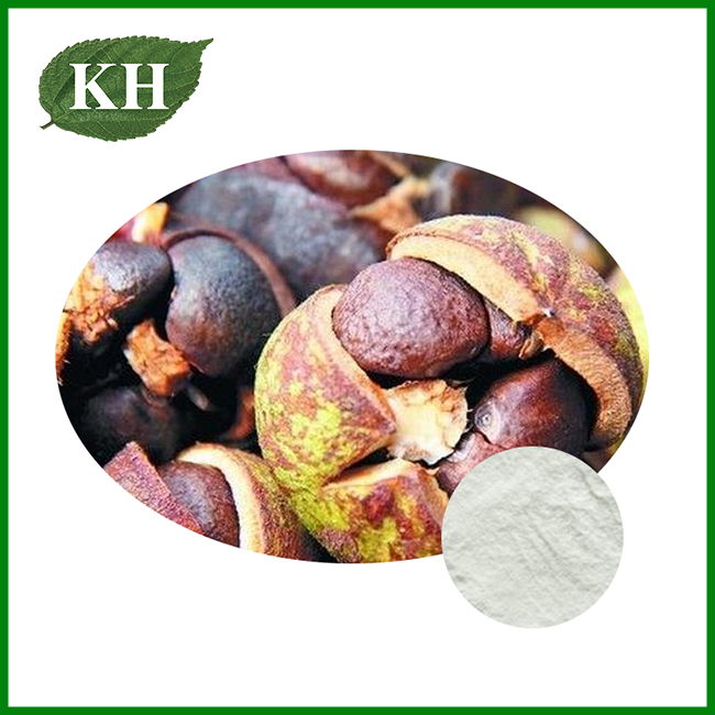 Camellia Seed Extract